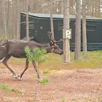 Lapland Riverside 1 Vadelma, Yllaes, Tiny With Sauna, Fireplace, Terrace, Bbq, Wifi, Ski, Fishing, Pets Ok 샬레 *