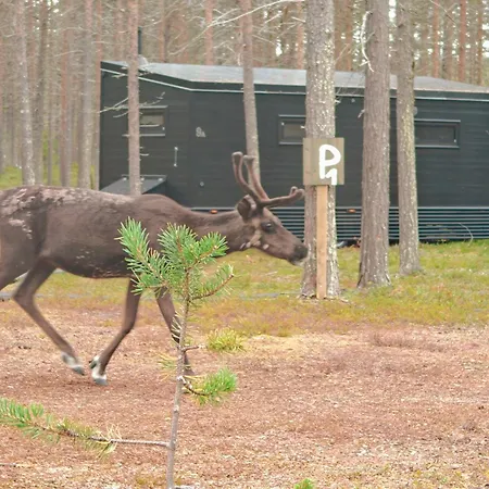 Lapland Riverside 1 Vadelma, Yllaes, Tiny With Sauna, Fireplace, Terrace, Bbq, Wifi, Ski, Fishing, Pets Ok 木屋 *