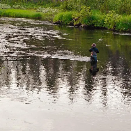 Lapland Riverside 1 Vadelma, Yllaes, Tiny With Sauna, Fireplace, Terrace, Bbq, Wifi, Ski, Fishing, Pets Ok 샬레